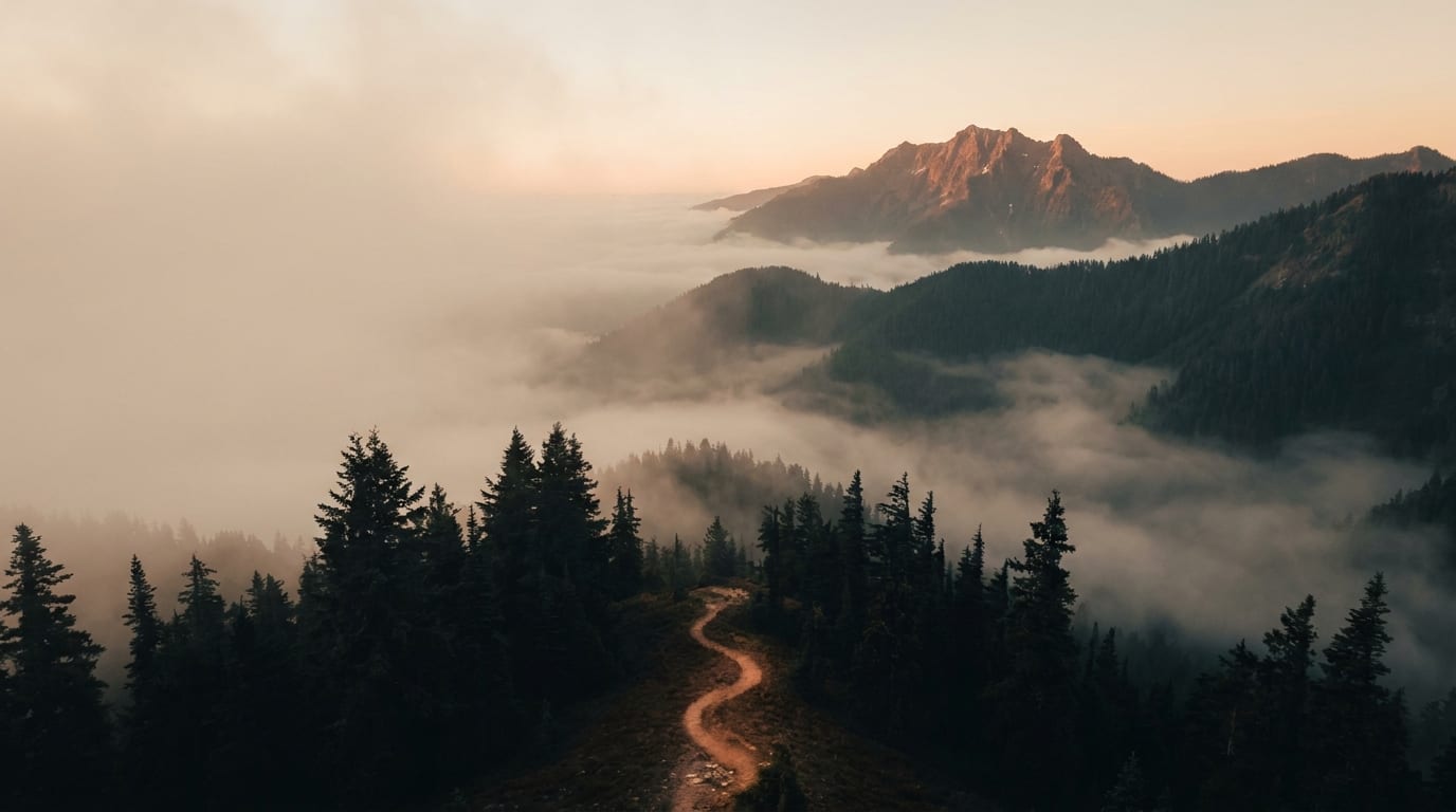 A lit path winding through mist and pines at dawn.
